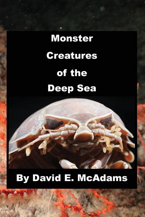 Produktbild: Monster Creatures of the Deep Sea