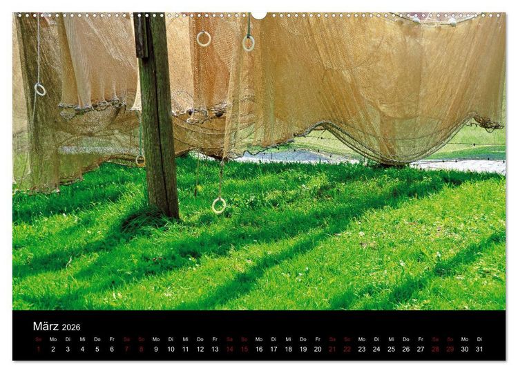 Produktbild: Segelsommer - D&auml;nische S&uuml;dsee (Wandkalender 2026 DIN A2 quer), CALVENDO Monatskalender