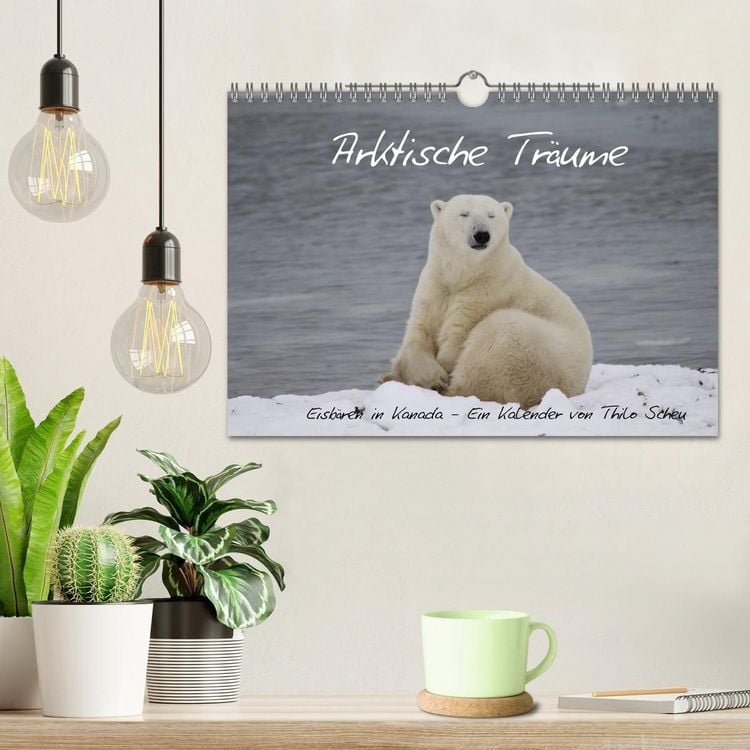 Produktbild: Arktische Tr&auml;ume - Eisb&auml;ren in Kanada (Wandkalender 2027 DIN A4 quer), CALVENDO Monatskalender