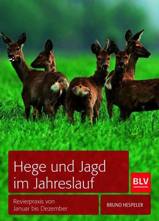 Produktbild: Hege und Jagd im Jahreslauf