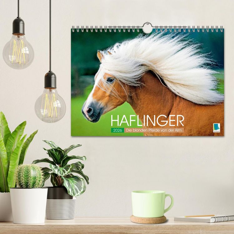 Produktbild: Haflinger: Die blonden Pferde von der Alm (Wandkalender 2026 DIN A4 quer), CALVENDO Monatskalender
