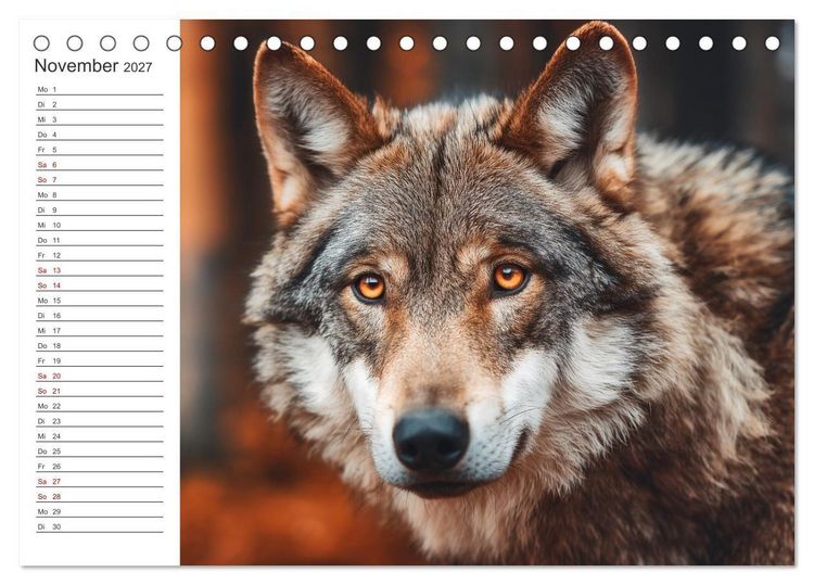 Produktbild: Die Seele der Wildnis (Tischkalender 2027 DIN A5 quer), CALVENDO Monatskalender
