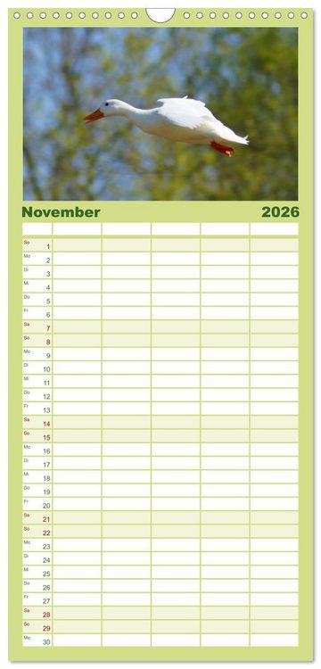 Produktbild: Familienplaner 2026 - Duck Power mit 5 Spalten (Wandkalender, 21 x 45 cm) CALVENDO