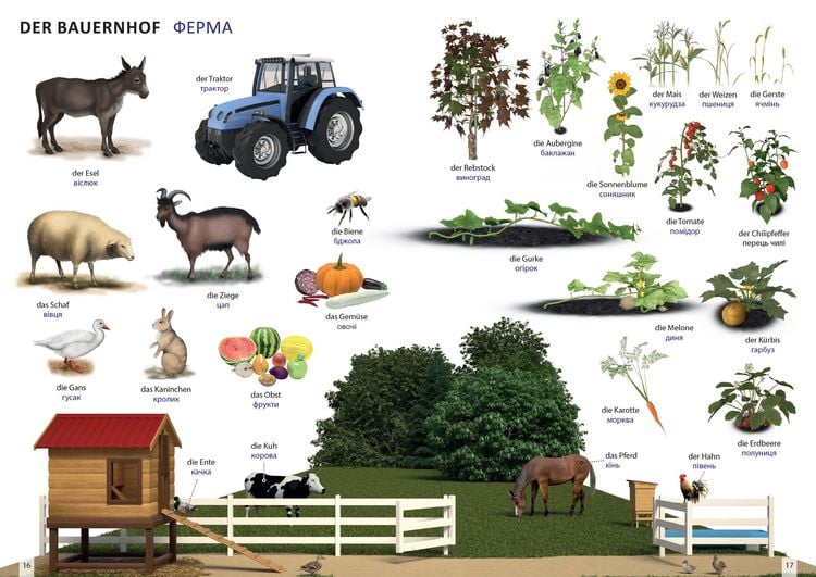 Produktbild: Bildw&ouml;rterbuch f&uuml;r Kinder und Eltern Ukrainisch-Deutsch