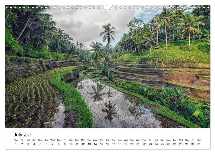 Produktbild: Tropical Vibes (Wall Calendar 2027 DIN A3 landscape), CALVENDO 12 Month Wall Calendar