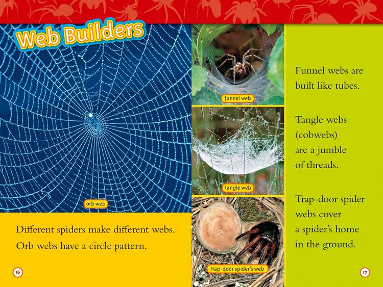 Produktbild: Nat Geo Readers - Spiders