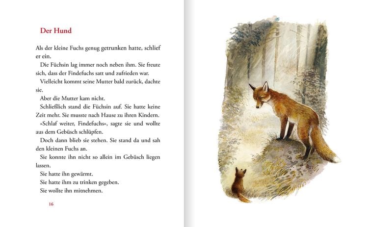 Produktbild: Der Findefuchs &ndash; Wie der kleine Fuchs eine Mutter bekam