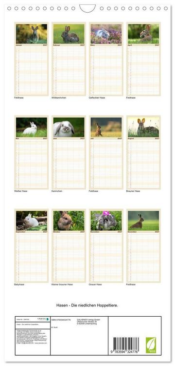 Produktbild: Familienplaner 2027 - Hasen - Die niedlichen Hoppeltiere. mit 5 Spalten (Wandkalender, 21 x 45 cm) CALVENDO