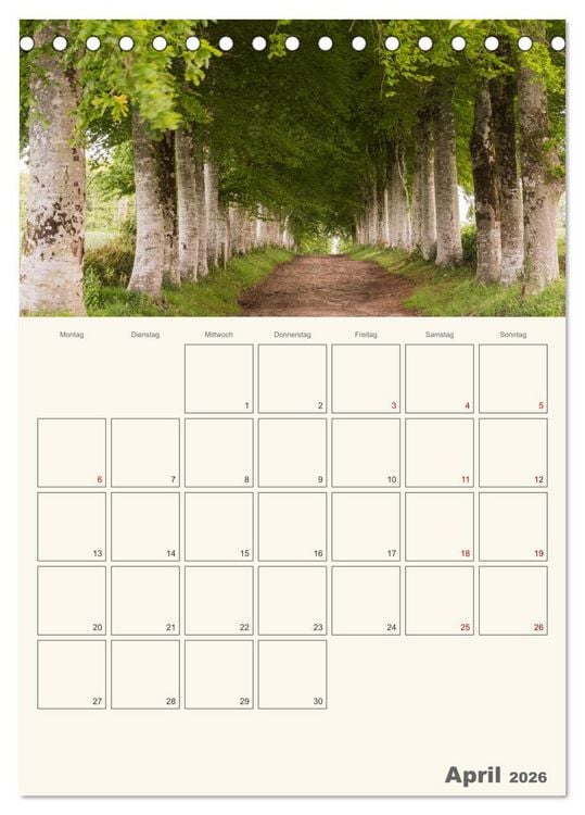 Produktbild: Sommertage in der Bretagne (Tischkalender 2026 DIN A5 hoch), CALVENDO Monatskalender