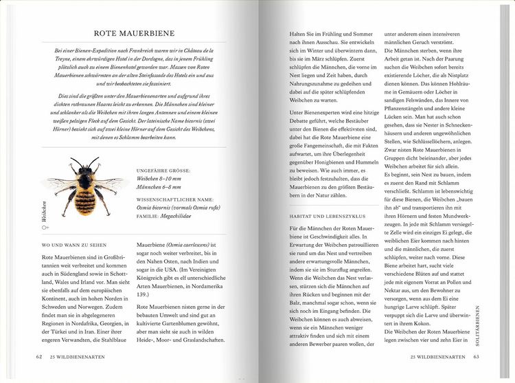 Produktbild: Unsere Wildbienen