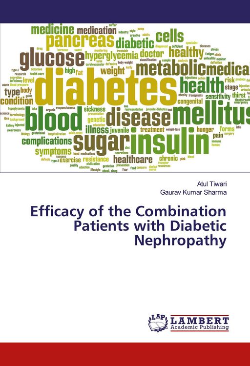 Produktbild: Efficacy of the Combination Patients with Diabetic Nephropathy