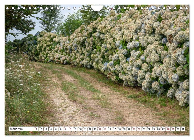 Produktbild: Unterwegs - Camino Primitivo. Zu Fu&szlig; auf der &auml;ltesten Route des Jakobsweges (Wandkalender 2026 DIN A4 quer), CALVENDO Monatskalender
