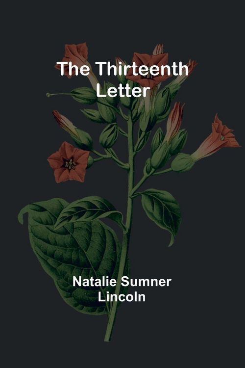 Produktbild: The Thirteenth Letter