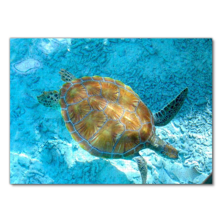 Produktbild: Lais Puzzle Schildkr&ouml;te 500 Teile