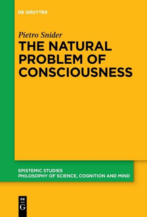 Produktbild: The Natural Problem of Consciousness