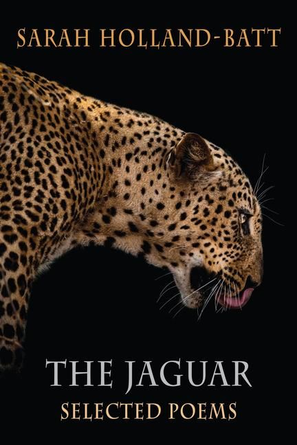 Produktbild: The Jaguar