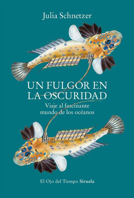 Produktbild: Un fulgor en la oscuridad