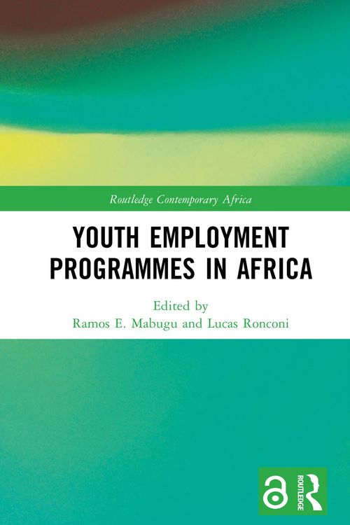 Produktbild: Youth Employment Programmes in Africa