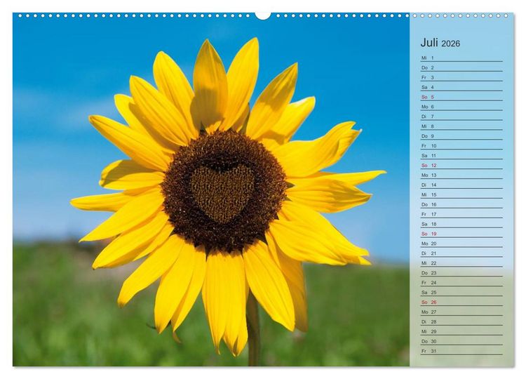 Produktbild: Tage von Herzen (hochwertiger Premium Wandkalender 2026 DIN A2 quer), Kunstdruck in Hochglanz