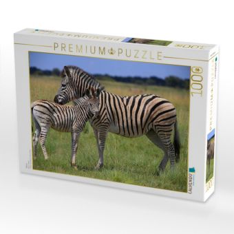 Produktbild: CALVENDO Puzzle Zebras | 1000 Teile Lege-Gr&ouml;&szlig;e 64x48cm Foto-Puzzle f&uuml;r gl&uuml;ckliche Stunden