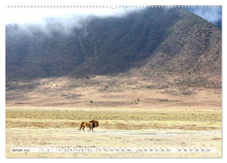 Produktbild: Tansania - Durch die Nationalparks Ostafrikas (hochwertiger Premium Wandkalender 2026 DIN A2 quer), Kunstdruck in Hochglanz