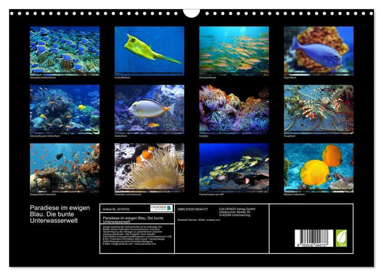 Produktbild: Paradiese im ewigen Blau. Die bunte Unterwasserwelt (Wandkalender 2026 DIN A3 quer), CALVENDO Monatskalender