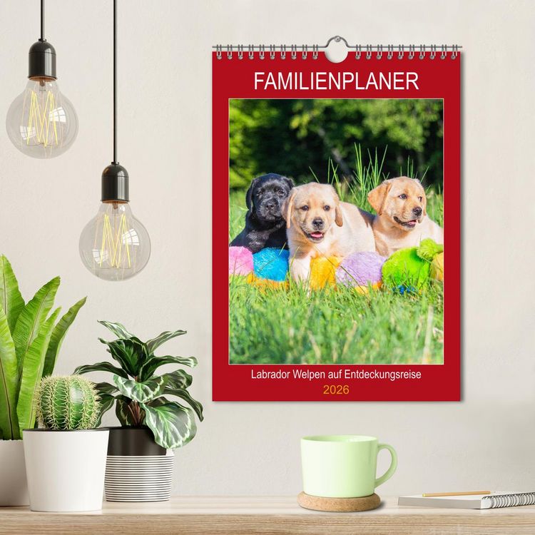 Produktbild: Familienplaner - Labrador Welpen entdecken die Welt (Wandkalender 2026 DIN A4 hoch), CALVENDO Monatskalender