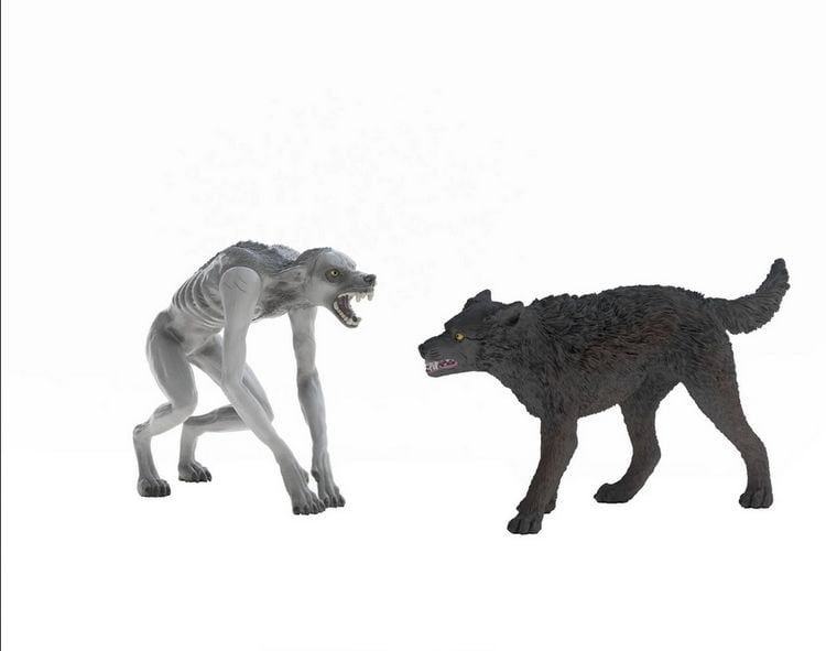 Produktbild: schleich&reg; 14906 Harry Potter Werwolf vs. Animagus
