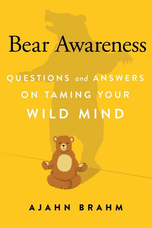 Produktbild: Bear Awareness