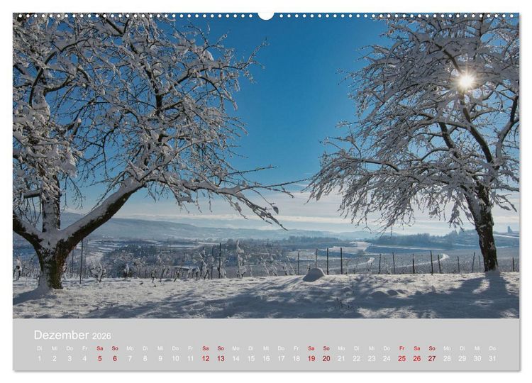 Produktbild: Ettenheim - Perle der Ortenau (Wandkalender 2026 DIN A2 quer), CALVENDO Monatskalender