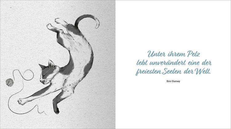 Produktbild: Kleine Katzenphilosophie