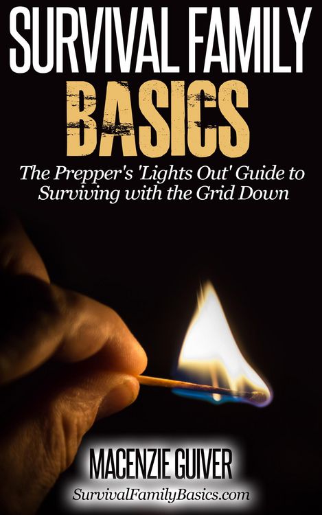 Produktbild: The Prepper's 'Lights Out' Guide to Surviving with the Grid Down (Survival Family Basics - Preppers Survival Handbook Series)