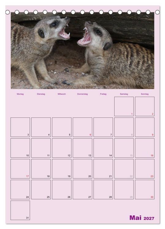 Produktbild: Erdm&auml;nnchen / Terminplaner (Tischkalender 2027 DIN A5 hoch), CALVENDO Monatskalender