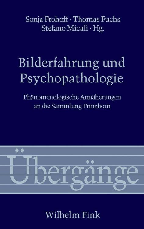 Produktbild: Bilderfahrung und Psychopathologie