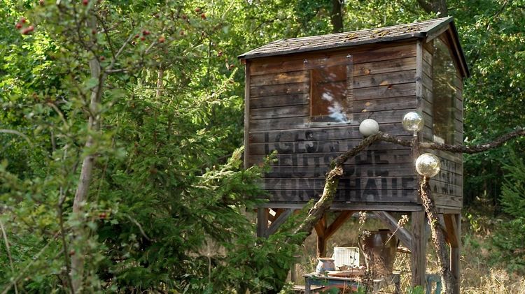Produktbild: Go Clara Go: die Kunst des kreativen Widerstands