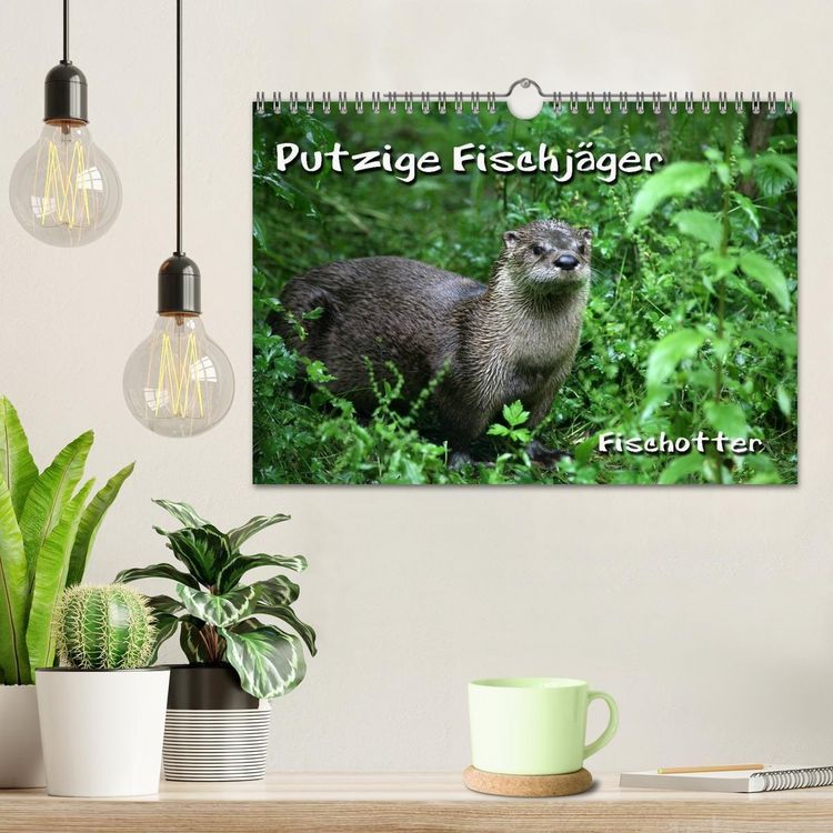 Produktbild: Putzige Fischj&auml;ger (Wandkalender 2027 DIN A4 quer), CALVENDO Monatskalender