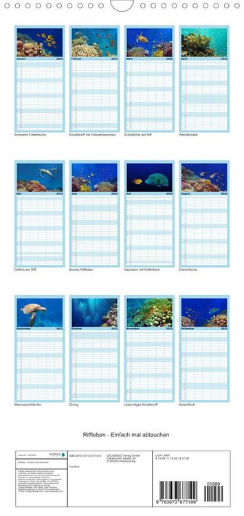 Produktbild: Riffleben - Einfach mal abtauchen - Familienplaner hoch (Wandkalender 2022 , 21 cm x 45 cm, hoch)
