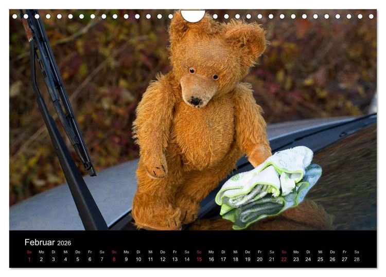 Produktbild: Teddy Basse, Fortsetzung... (Wandkalender 2026 DIN A4 quer), CALVENDO Monatskalender