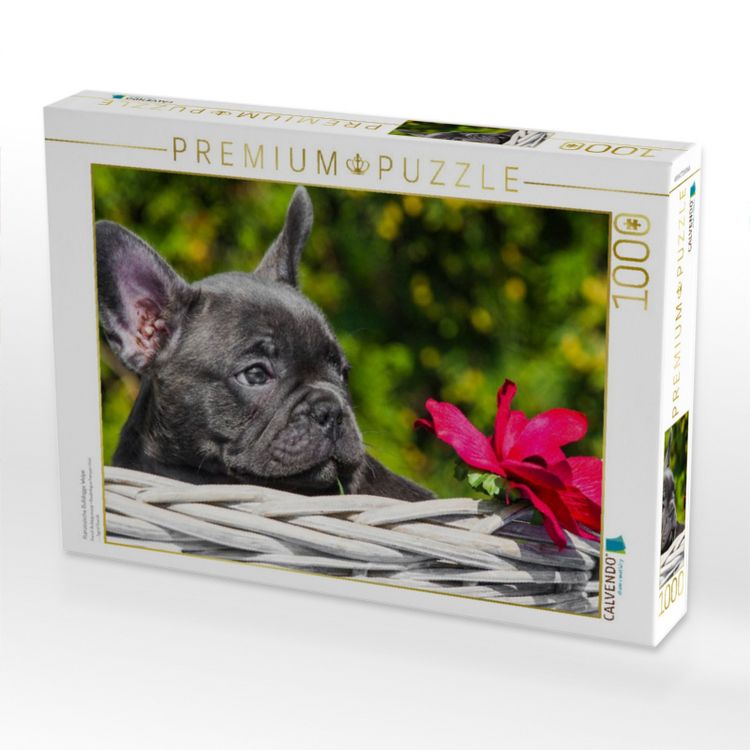 Produktbild: CALVENDO Puzzle Franz&ouml;sische Bulldogge Welpe | 1000 Teile Lege-Gr&ouml;&szlig;e 64x48cm Foto-Puzzle f&uuml;r gl&uuml;ckliche Stunden
