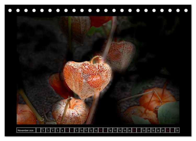 Produktbild: Mysterious plant portraits (Desk Calendar 2026 DIN A5 landscape), CALVENDO 12 Month DeskCalendar