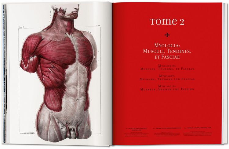 Produktbild: Bourgery