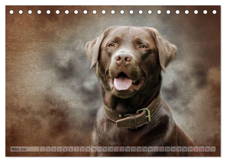 Produktbild: Jagdhunde im Portrait (Tischkalender 2026 DIN A5 quer), CALVENDO Monatskalender