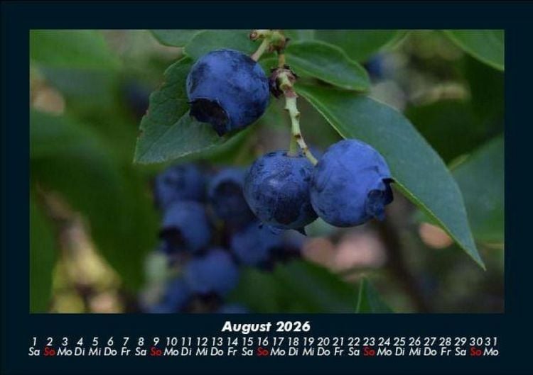 Produktbild: Obstkalender 2026 Fotokalender DIN A5