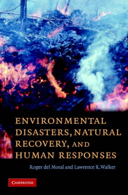 Produktbild: Environmental Disasters Natura