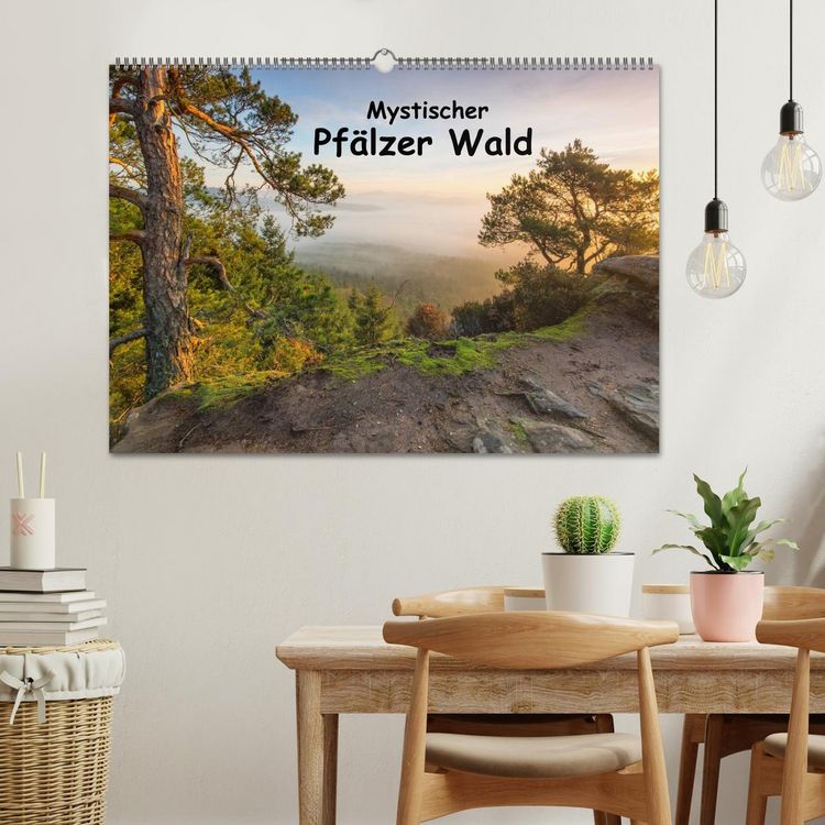Produktbild: Mystischer Pf&auml;lzer Wald (Wandkalender 2026 DIN A2 quer), CALVENDO Monatskalender