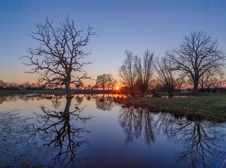 Produktbild: CALVENDO Puzzle Spiegelglatter Teich bei Sonnenuntergang im M&auml;rz | 2000 Teile Lege-Gr&ouml;&szlig;e 90x67cm Foto-Puzzle f&uuml;r gl&uuml;ckliche Stunden