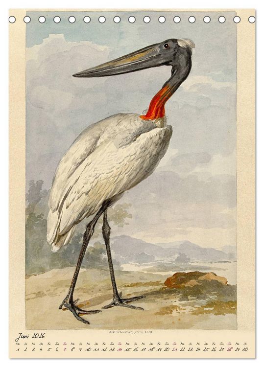 Produktbild: Aert Schouman. V&Ouml;GEL (Tischkalender 2026 DIN A5 hoch), CALVENDO Monatskalender