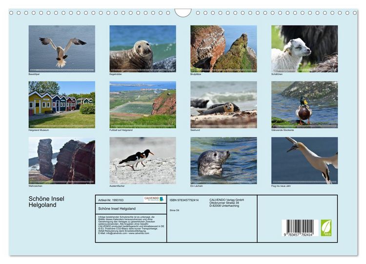 Produktbild: Sch&ouml;ne Insel Helgoland (Wandkalender 2026 DIN A3 quer), CALVENDO Monatskalender