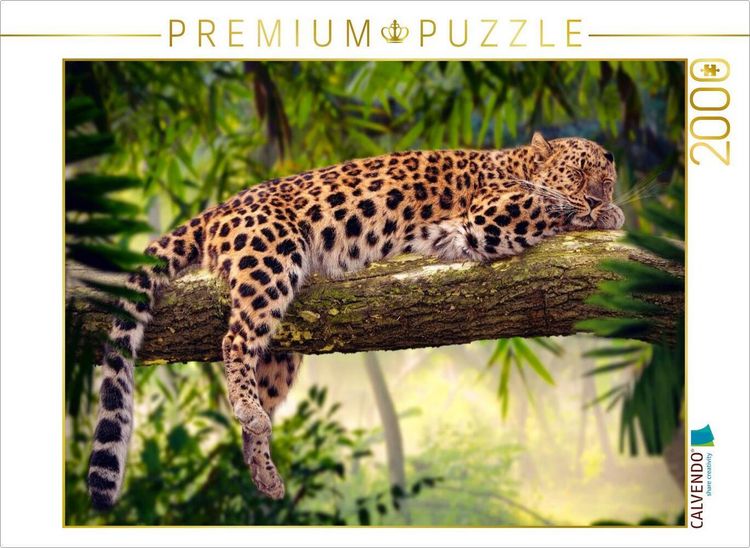 Produktbild: CALVENDO Puzzle Leopard mit Auszeit auf einem Baum | 2000 Teile Lege-Gr&ouml;&szlig;e 90x67cm Foto-Puzzle f&uuml;r gl&uuml;ckliche Stunden