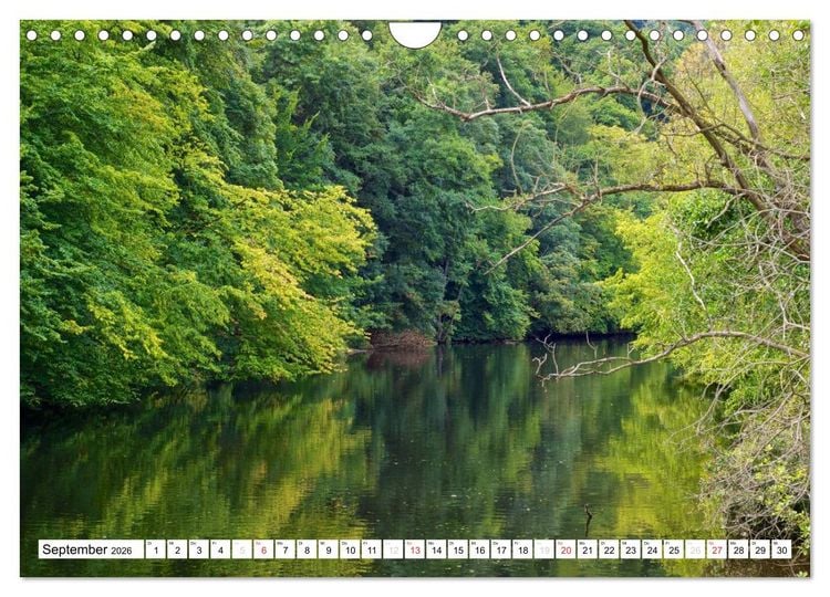 Produktbild: B&auml;che, Fl&uuml;sse, Seen - Wasser in der Eifel (Wandkalender 2026 DIN A4 quer), CALVENDO Monatskalender